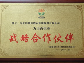 戰(zhàn)略合作伙伴